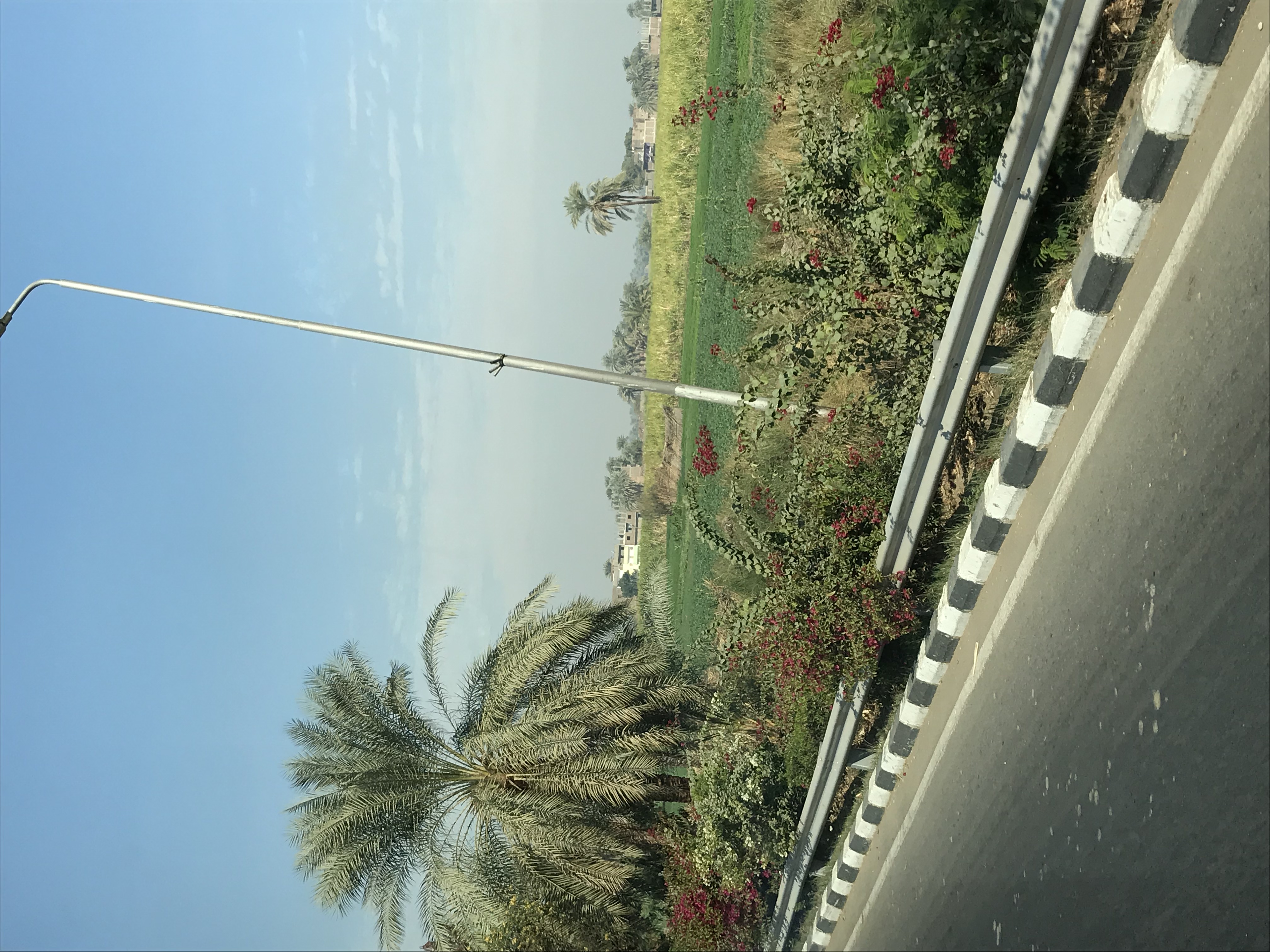 ./2018/16 - Egypt/04 - Luxor Day 1/IMG_1176.jpg